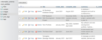 Image of the database, showing content, images, posts, pages, and tags tables, and displaying several posts.