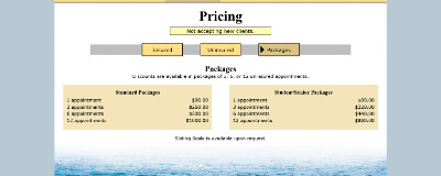 The refined final website, showing the pricing page including individual and package costs for uninsured clients.